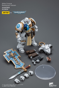 White Consuls Bladeguard Veteran 5