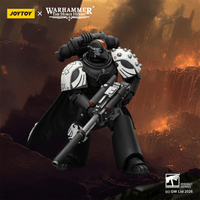 Raven Guard Mor Deythan Shade with Nemesis bolt rifle 13
