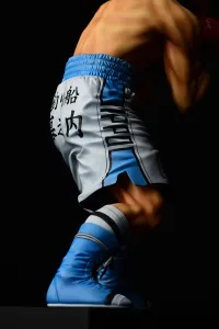 ORCATOYS Ippo Makunouchi－fighting pose－(re-run) - Hajime no Ippo - photo 18