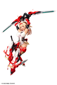 ASRA ARCHER 10
