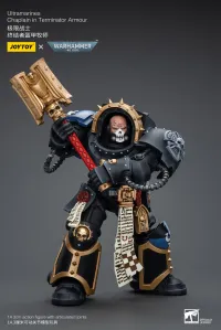 Ultramarines Chaplain in Terminator Armour 4