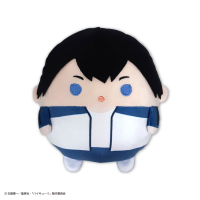 Haikyu!! FUWA KORORIN M SIZE SPECIAL (K) 1