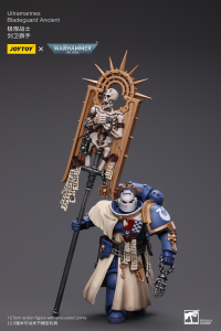 Ultramarines Bladeguard Ancient 6