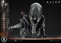Prime 1 Studio Museum Masterline XL Alien: Romulus Scorched Xenomorph Deluxe Bonus Version - Alien (Movie Franchise) - photo 21