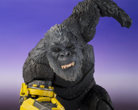 SHIMO FROM GODZILLA x KONG: THE NEW EMPIRE "GODZILLA", TAMASHII NATIONS S.H.MonsterArts 4