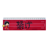 Haikyu!! Banner Ruler Tetsuro Kuroo 1