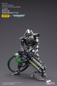 WH40K-Necrons Sautekh Dynasty Immortal with Gauss Blaster 8