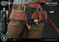 Museum Masterline The Witcher 3: Wild Hunt Ciri Fiona Elen Riannon 23
