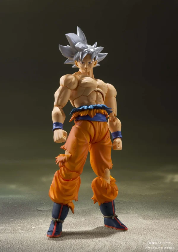 TAMASHII NATIONS (Reissue) SON GOKU ULTRA INSTINCT "DRAGON BALL Z", TAMASHII NATIONS S.H.Figuarts - Dragon Ball Super