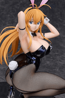Sonsaku Hakufu: Bunny Ver. 2nd 6