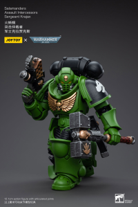 Salamanders Assault Intercessors Sergeant Krajax 1