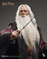 INART - Harry Potter and the Chamber of Secrets - Albus Dumbledore 1/6 Collectible Figure Premium Version 18
