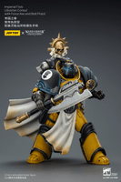Imperial Fists Librarian Consul with Force Axe and Bolt Pistol 4
