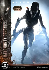 Prime 1 Studio Museum Masterline XL Alien: Romulus Scorched Xenomorph Deluxe Version - Alien (Movie Franchise) - photo 53