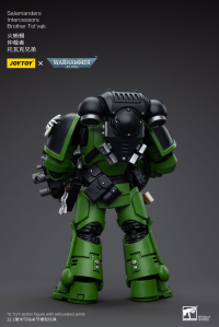 Salamanders Intercessors Brother Tol'vak 3