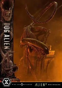 Prime 1 Studio Museum Masterline XL Alien 3 (Film) Dog Alien Deluxe Version - Alien (Movie Franchise) - photo 86