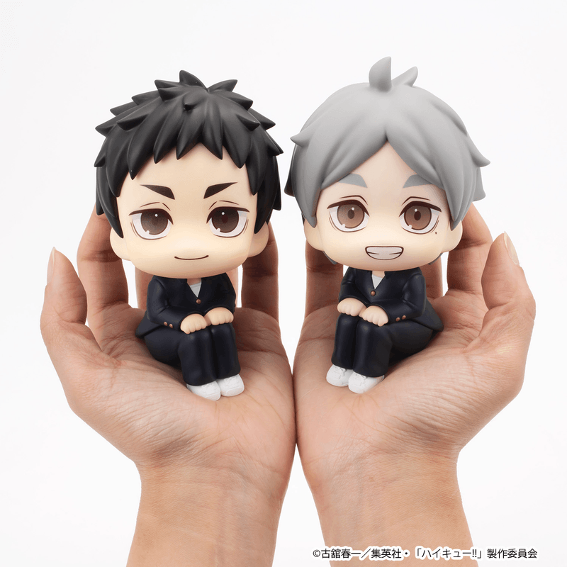Lookup Haikyu！！ Daichi Sawamura & Koushi Sugawara set 【with gift】