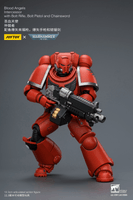 Blood Angels Intercessor with Bolt Rifle, Bolt Pistol and Chainsword 21