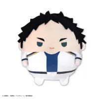 MAX LIMITED Haikyu!! FUWA KORORIN M SIZE SPECIAL (G) - Haikyu!! - photo 1
