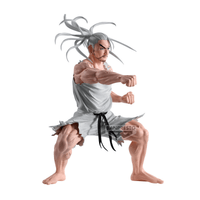 HUNTER×HUNTER HUNTING ARCHIVES NETERO 6