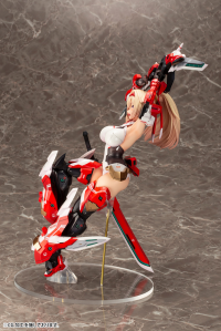 ASRA ARCHER 11