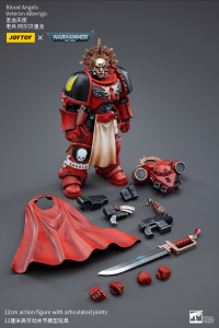 Blood Angels Veteran Alberigo 6