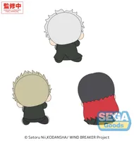 SEGA Hyokopyoko TV Anime "WIND BREAKER" Plush Vol.2 (EX) - WIND BREAKER - photo 2