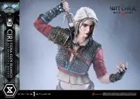 Prime 1 Studio Premium Masterline The Witcher 3: Wild Hunt Ciri Fiona Elen Riannon Alternative Outfit DX Bonus Version - Video Games - photo 7
