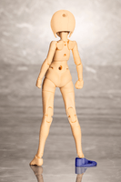 B1R-M CHASSIS KIT SKIN COLOR D 5