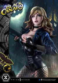 Prime 1 Studio Museum Masterline DC Comics Black Canary - DC Comics - photo 23