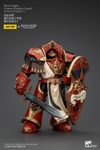 Blood Angels Crimson Paladins Squad Crimson Paladin 3 9