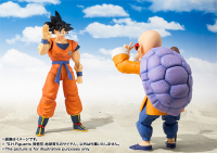 Son Goku -A Saiyan Raised On Earth- Dragon Ball Z, TAMASHII NATIONS S.H.Figuarts 4