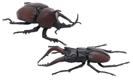 Fujimi [FI No.25]  Biology Edition Beetle vs Stag Beetle Showdown Set - Original Series