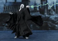 TAMASHII NATIONS Lord Voldemort (Harry Potter and the Goblet of Fire) Harry Potter and the Goblet of Fire, TAMASHII NATIONS S.H.Figuarts - Harry Potter - photo 5