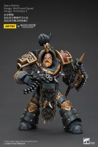 JOYTOY Space Wolves Varagyr Wolf Guard Squad Varagyr Terminator 3 - Warhammer 40K - photo 6