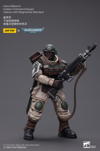 Astra Militarum Cadian Command Squad Veteran with Regimental Standard 7