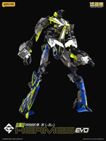 AMTS IB-16 HERMES EVO 33