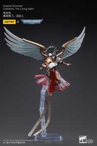 Adepta Sororitas Celestine, The Living Saint 5