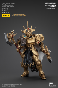 Stormcast Eternals The Blacktalons Neave Blacktalon 8