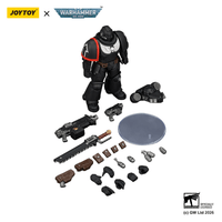 Raven Guard Intercessor with Bolt Rifle, Bolt Pistol and Chainsword 12