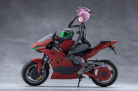 EMULATOR RIDING PACKAGE 10