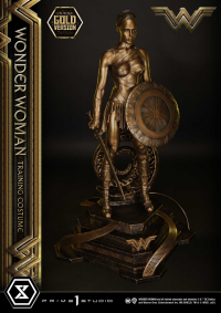 Museum Masterline Wonder Woman (Film) Wonder Woman Training Costume Gold Version 5
