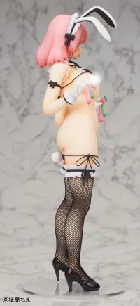 LECHERY Yurufuwa Maid Bunny R18ver. illustration by Chie Masami(3rd-run) - 18+ - photo 7