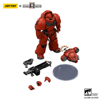 Game Edition Blood Angels Heavy Intercessor with Heavy Bolt Rifle and Bolt Pistol 10