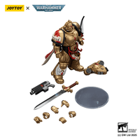 Blood Angels Captain with Heavy Bolt Pistol & Power Sword 16