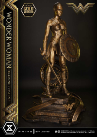 Museum Masterline Wonder Woman (Film) Wonder Woman Training Costume Gold Version 19