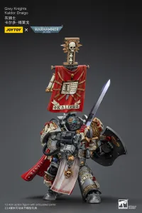 JOYTOY Grey Knights Kaldor Draigo - Warhammer 40K - photo 3
