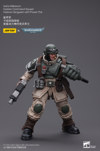 Astra Militarum Cadian Command Squad Veteran Sergeant with Power Fist 4