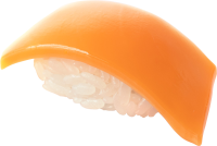 Sushi Plastic Model: Ver. Salmon 1