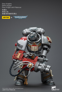 Grey Knights Strike Squad Grey Knight with Psilencer 2